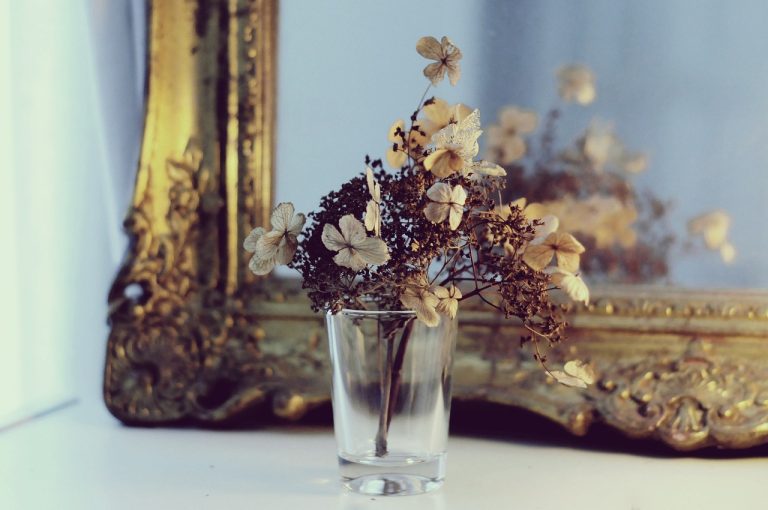 Hortensia