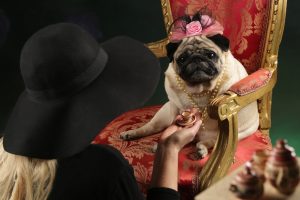 ceai de eucalipt beneficii