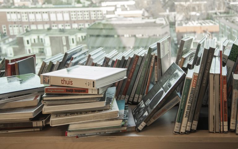 romanul adolescentului miop: rezumat si mesaje esentiale