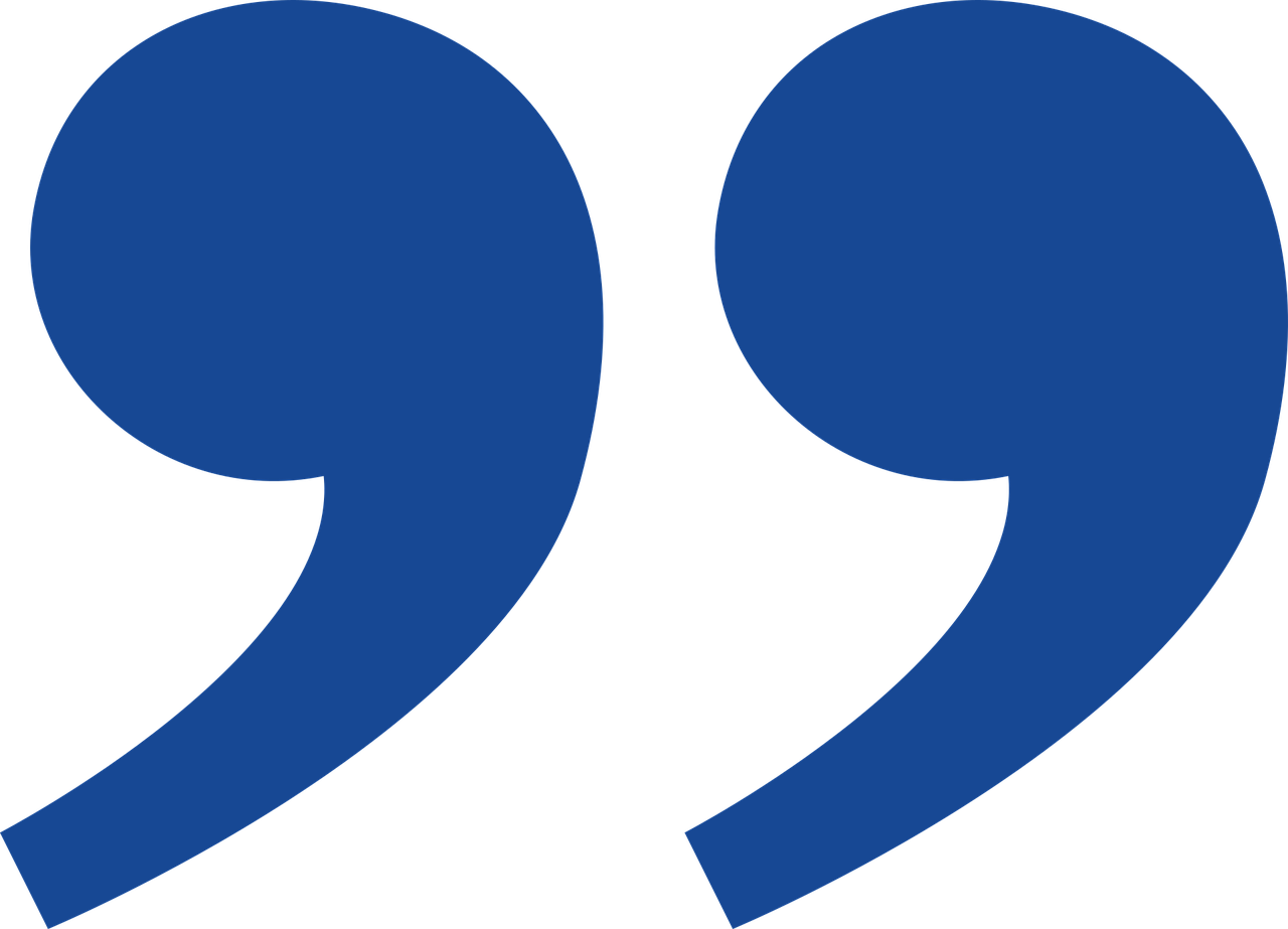 citate amuzante despre sefi