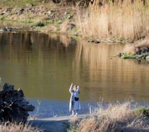 remedii pentru matreata si coji