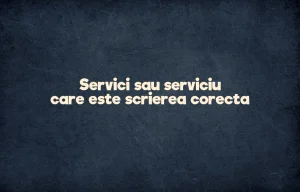Servici sau serviciu care este scrierea corecta