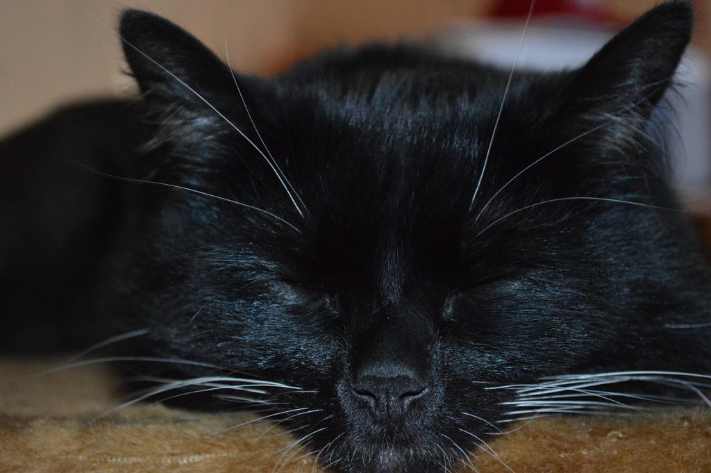 ce inseamna cand visezi ca sotul te inseala cu alta femeie