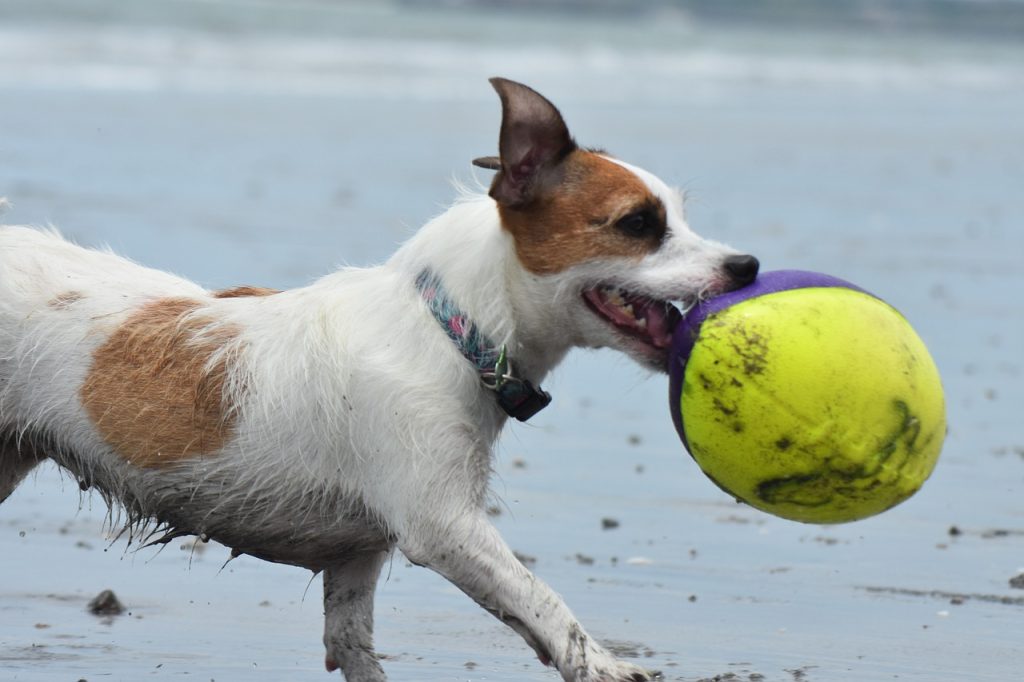 cand este valentines day 2025