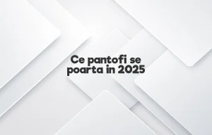 ce pantofi se poarta in 2025