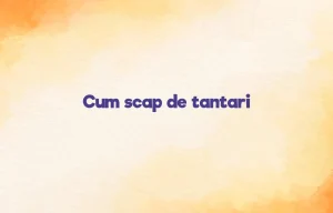 cum scap de tantari