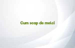 cum scap de melci