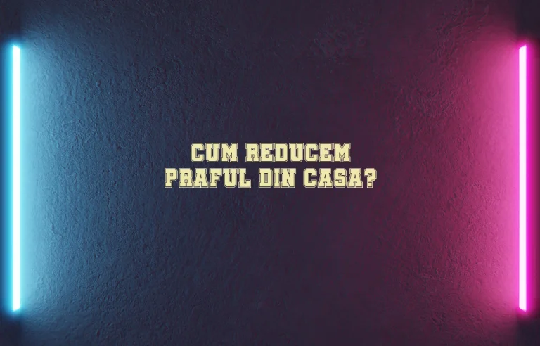 cum reducem praful din casa