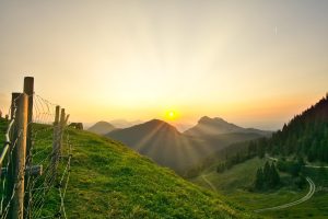 de cate ori se mulge capra pe zi