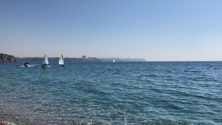 cat mananca un curcan pe zi