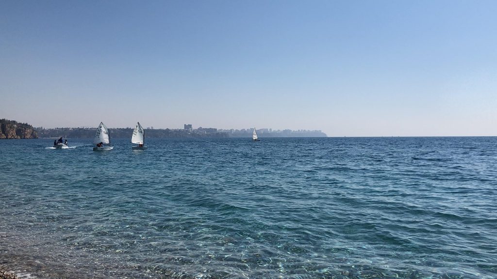 de ce mor pui de curca