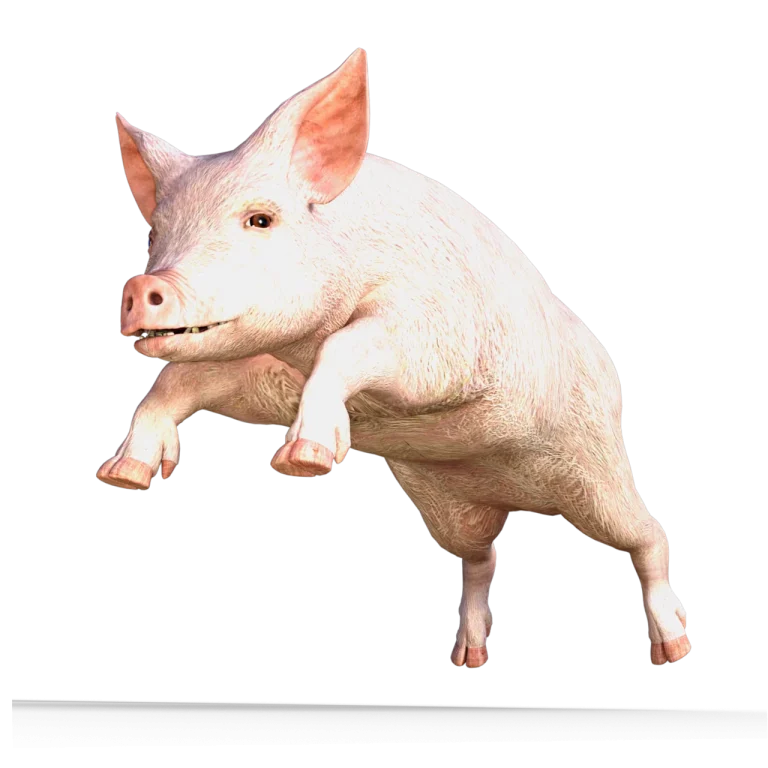 cate kg pune un porc pe luna