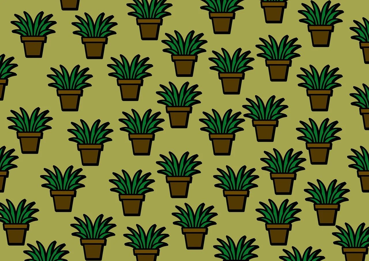 natalie portman copii