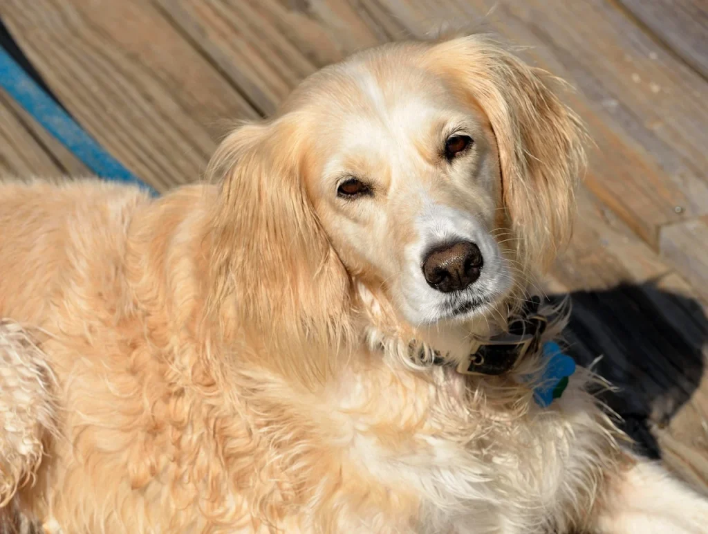 charlize theron copii infiati