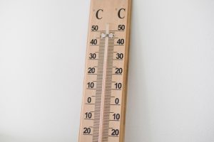 la ce temperatura rezista camelia