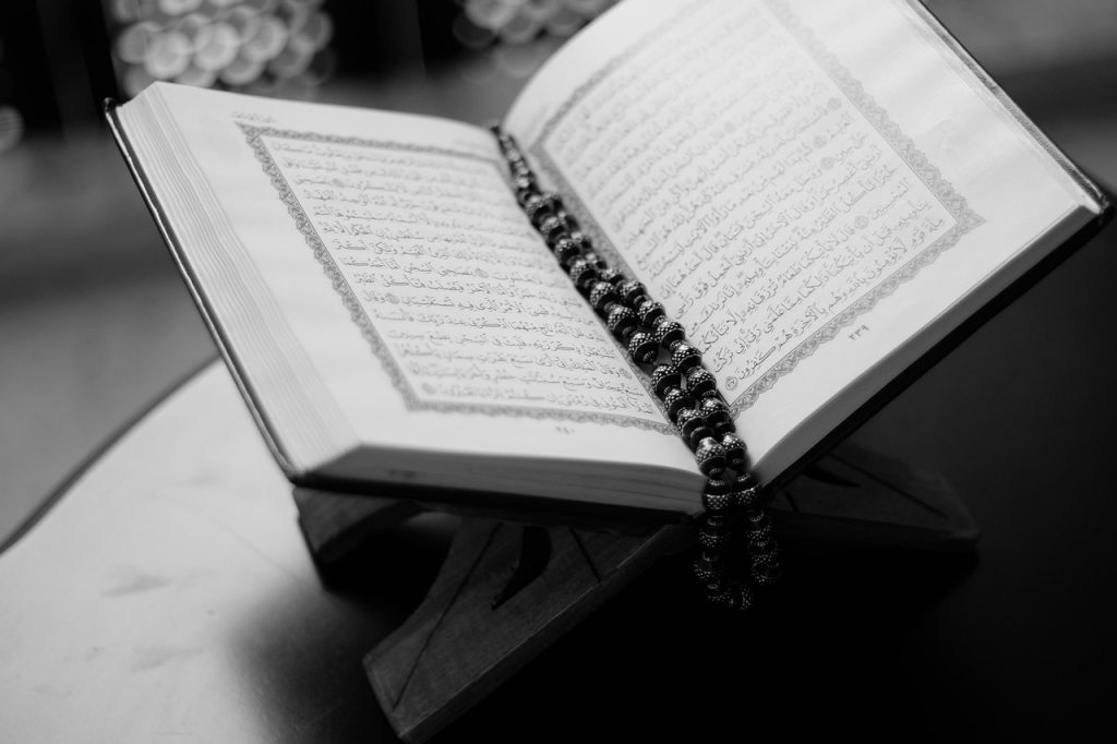 ileana vulpescu citate