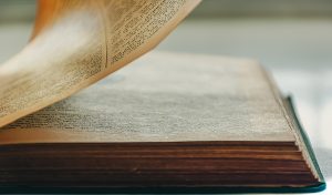 frumoase citate citate despre viata