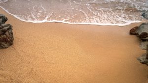 citate despre calatorie