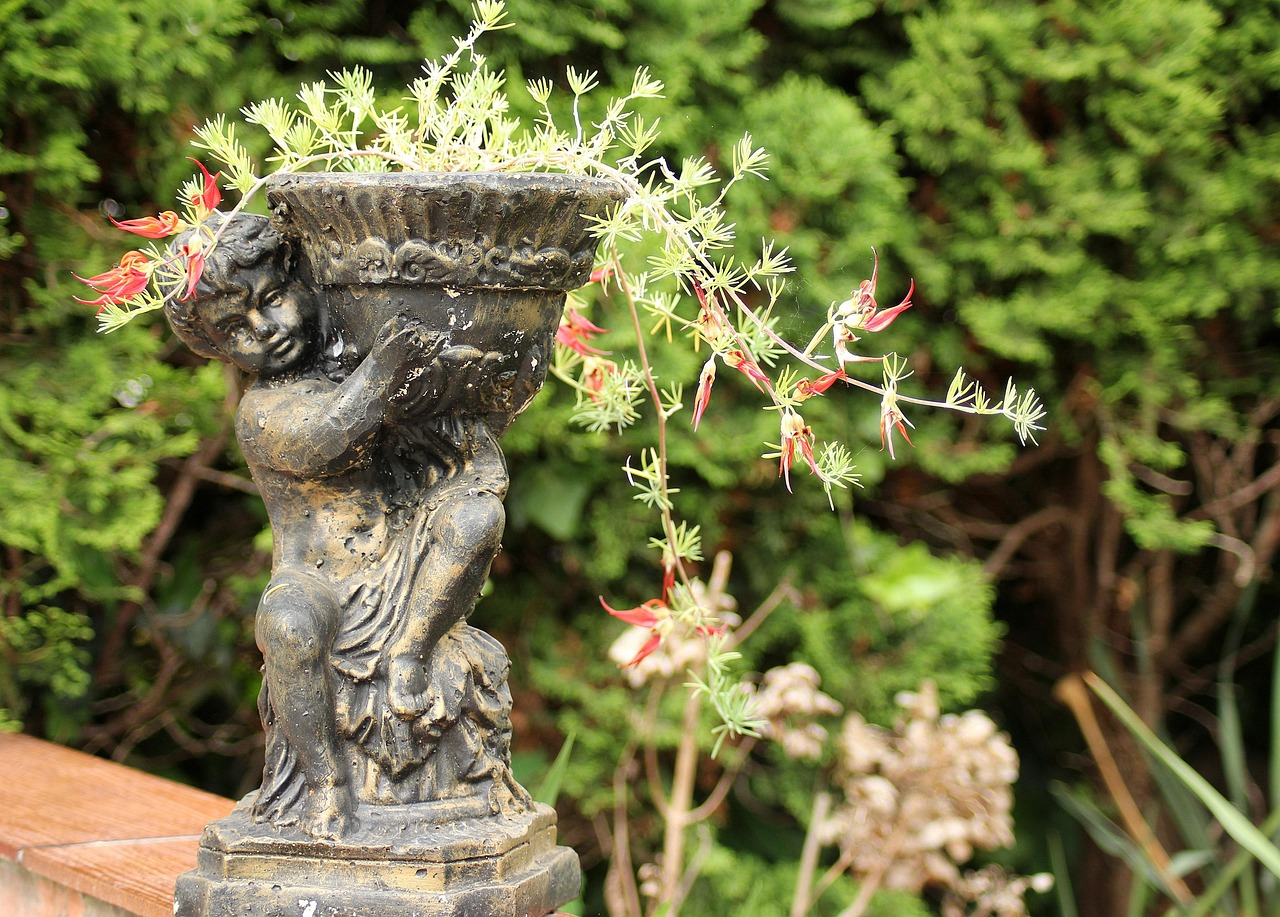 muscatele iarna in beci