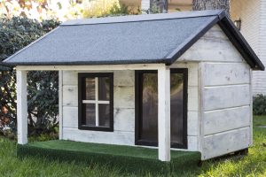 tratament cu seleniu tiroida
